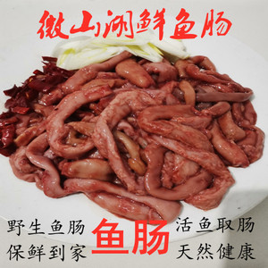 微山湖现杀新鲜大鲤鱼鱼杂新鲜鱼肠生鲜鱼肠活鱼鲤鱼现取肠子