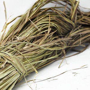 钓鱼随手香100g野洗手香 中草药香草菖蒲中药材钓鱼用泡酒材料