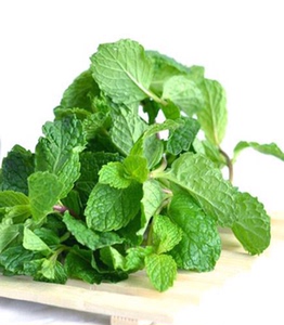 贵州关岭花江新鲜薄荷鱼香菜狗肉牛肉羊肉香调味香料500g一斤包邮