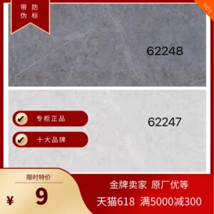 冠珠陶瓷砖62247 62248 地面35248厨卫地砖厨房卫生间300*600