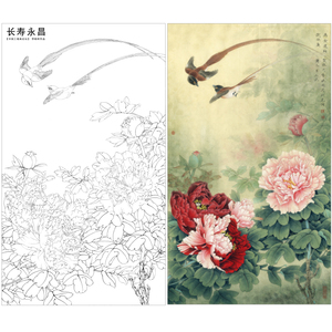 【有步骤,大彩图】李晓明工笔画白描底稿寿带鸟《长寿永昌》kd24