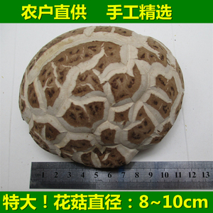 特产大花菇500g干货8-10cm商用香菇天白冬菇食用菌蘑菇新货特产