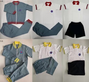 北京八中各款式校服纯棉春秋夏季短袖短裤男女同款
