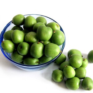 丹东新鲜野生软枣弥猴桃牛奶枣狗枣2.斤包邮2019年新货圆枣子元枣