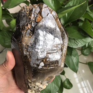 赞比亚产地天然茶水晶骨干原石摆件多尖亮皮水晶家居客厅装饰礼品