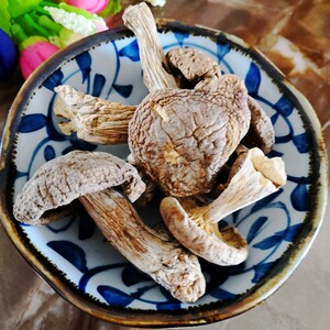 内蒙古根河野生白蘑菇特级干货东北大兴安岭呼伦贝尔土特产200克
