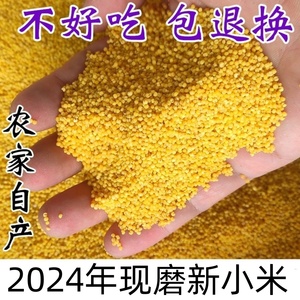 2024年新磨第一批新小米 小黄米五谷杂粮月子小米粥宝宝米包邮5斤