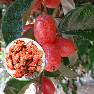 原味羊奶果干500g胡颓子云南手工果脯蜜饯孕妇零食酸甜蜜饯水果干