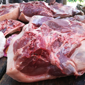 广东农家散养土猪 五花肉 腩肉 米糠杂粮喂养土猪肉 本地大肥猪肉