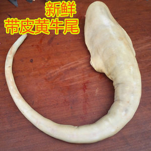 新鲜带皮牛尾 农家散养黄牛尾巴 青草黄牛尾 生牛尾 现杀现发 3斤