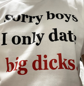 土布垃圾T恤恶趣味女权 sorry boys 标语slogan重磅230k不透男女