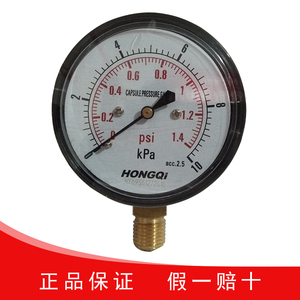红旗仪表厂家直销天燃气YE-60 径向膜盒压力表测量微压气体专用表