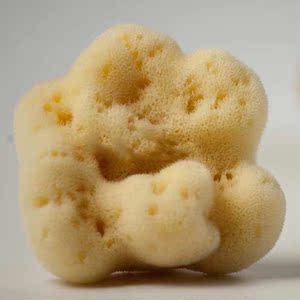 希腊天然丝海绵婴儿童宝宝洗脸洗澡沐浴卸妆洗脸