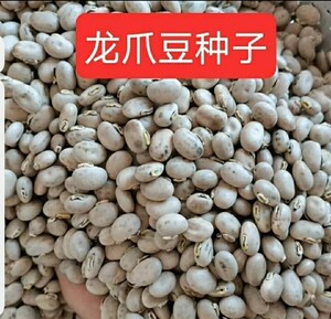 君忆旗舰店天猫狗爪豆种孑黧豆刺毛黧豆狗爪豆种子龙爪黧豆龙爪豆猫