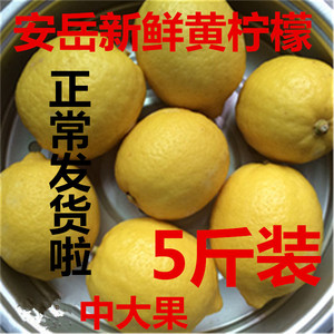 本季新鲜柠檬酵素水果产品黄柠檬皮薄多汁一二级小中大果5斤包邮