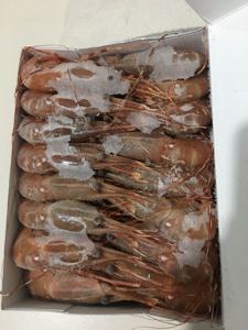 加拿大牡丹虾1kg 25~33只左右日本料理刺身食材海虾速冻 入口即化