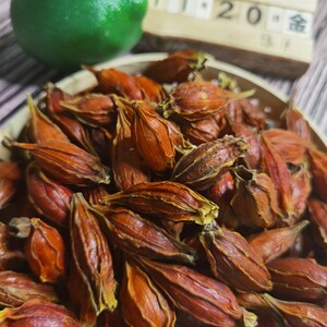 特级精选药材香料黄桅子上色枝子盐焗上色卤肉黄桅子泡茶下火500g