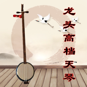 壮族天琴广西龙州特产二弦高档龙头天琴精致