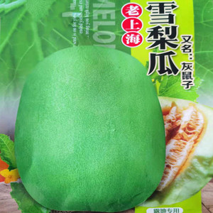 雪梨瓜种子老上海灰鼠子甜瓜香瓜种籽超甜多汁产量高四季高产包邮
