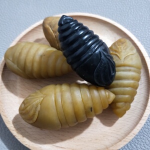 岫玉手工雕刻写实类趣味小摆东北蚕蛹把件单价60一只茶宠新品直播
