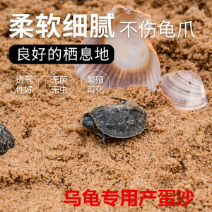 乌龟产蛋沙天然下蛋沙子养乌龟沙冬眠细沙龟蛋孵化专用细沙鱼缸沙