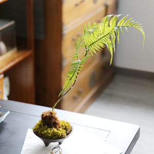 新中式侘寂风金丝猴蕨仿真绿植室内盆景摆件植物盆栽样板房装饰品