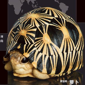 动物星球心宽体胖系列鹰嘴龟苏卡达陆龟猪鼻龟辐射陆龟手办正版