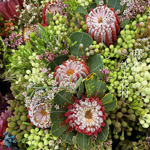 新到南非玉米佛塔混合花束鲜花鲜切花 可干花家居布置花全国顺丰