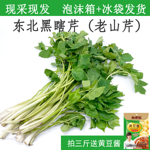 东北黑瞎芹新鲜山野菜老山芹刺芹老桑芹黑瞎子芹野生山菜新鲜吉林