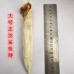 包邮大号鲨鱼 鞭海宝泡酒料海洋泡酒料 泡酒炖汤 鞭干货1根