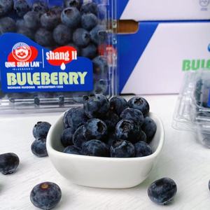 乐鲜果园甜蓝莓精选大果新鲜蓝莓浆果当季时令孕妇水果宝宝辅食