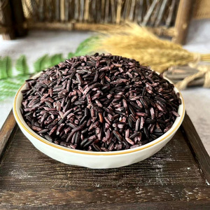 云南墨江紫米紫糯米2500g五斤新米云南特产五谷杂粮全胚芽血糯米