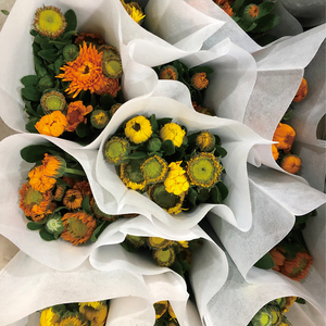 金盏菊六月菊油画菊冰菊鲜切花家庭瓶插花艺婚庆节日比赛装饰花束