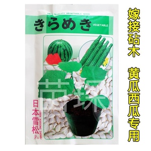 日本雪松砧木种子黄瓜西瓜甜瓜嫁接专用大白南瓜种籽增产根系发达