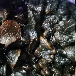 平平淡淡19820319淘宝东北猪嘴蘑野生蘑菇拱嘴蘑新货250g包邮特产木