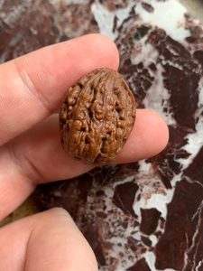 核桃手串,文玩核桃,核桃手串手持,蚂蚁纹判官笔秋子,可遇不可