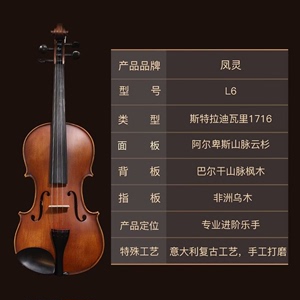 凤灵小提琴L6全新正品手工实木虎纹初学演奏考级都可以用！