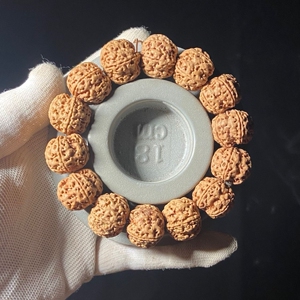 尼泊尔19mm龙爪梅花双龙金刚菩提手串.80.图片能清楚的看
