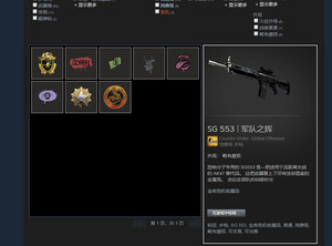 csgo账号 3牌子16服役野火大行动 国际优先白