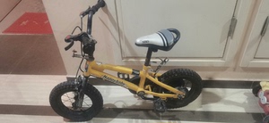 儿童 12寸自行车，带辅助轮，实体店购买，XBD（小布丁）品