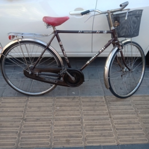 老金狮自行车,26型,原车原件原漆,有收藏爱好者可以入手,品