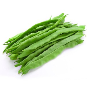 新鲜蔬菜油豆角扁豆芸豆四季豆刀豆农家种植现摘非东北一点红油豆