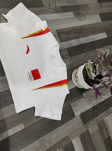 安踏国家队短袖中国队出场服穿,纯棉短袖t恤国服运动服训练国家