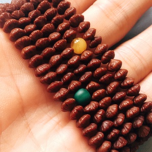 金叶莲花菩提金叶菩提钱串子菩提 自玩三年多 尺寸6左右 精致