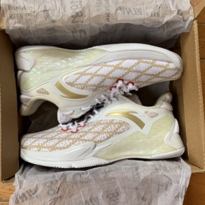 anta 安踏隆多签名鞋 全新原盒 尺码44.5 后跟处有氧