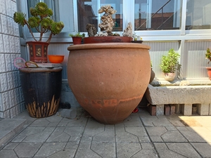 红泥缸.老沙瓮.养金鱼不坏水.200一个.不包邮.