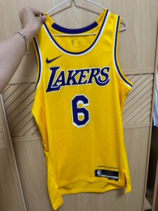 正版耐克,詹姆斯湖人6号球衣,44,m码._阿里巴巴找货神器