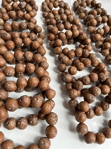 刚下树的新籽,前鼠后猫,紫金鼠菩提,圆籽19mm 图片与实物