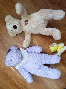 joanne泰迪熊,韩国济州岛泰迪熊博物馆购买,成色新,高度