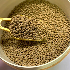 买三送二!】龟粮乌龟饲料龟料巴西龟草龟